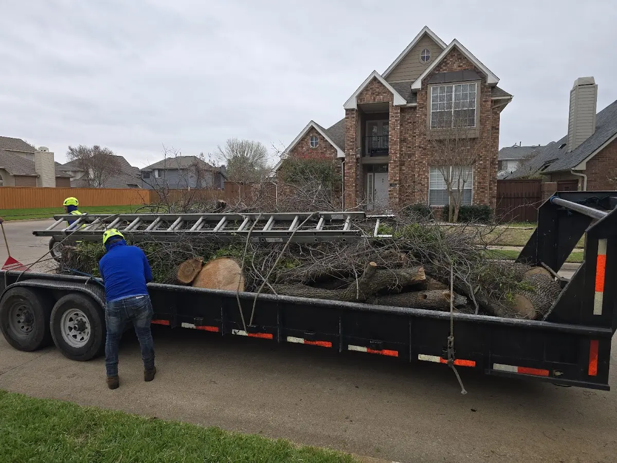 Expert Tree Fertilization with proper safety equipment in Berrien Springs
